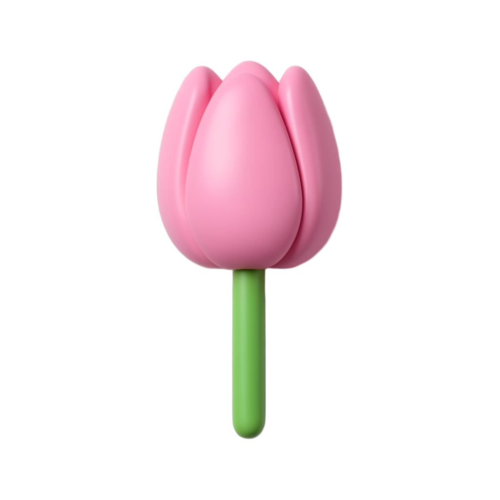 Pink tulip